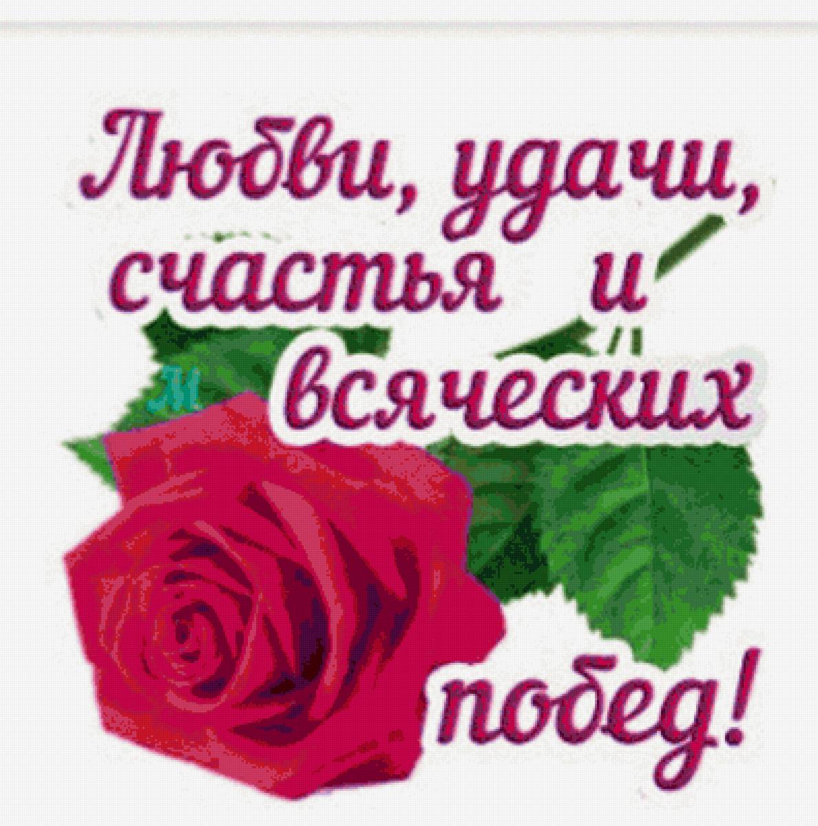 001 - предпросмотр