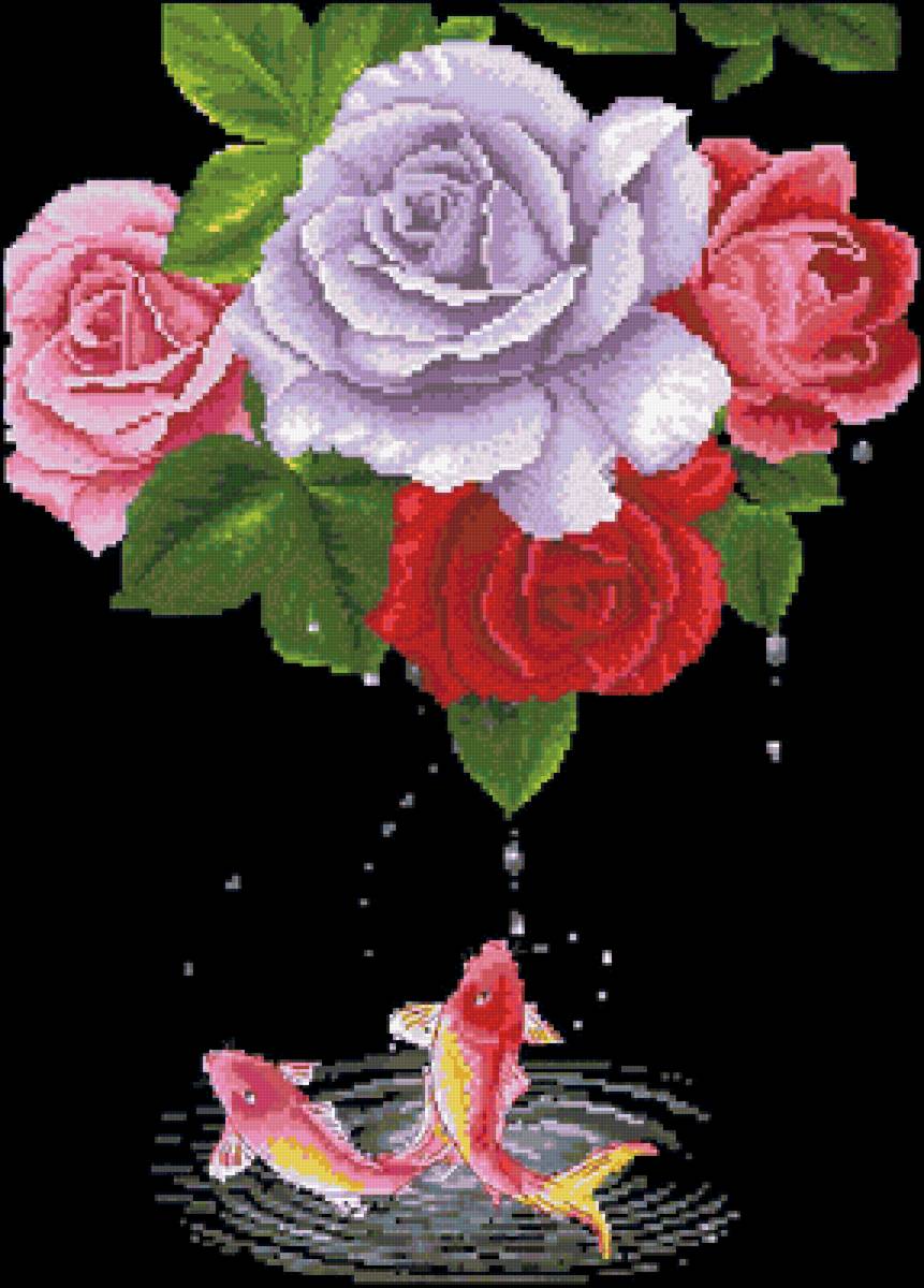 рыбы - предпросмотр