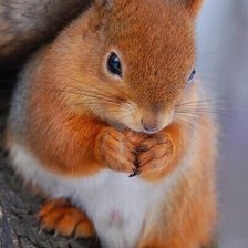 Схема вышивки «№2147067»