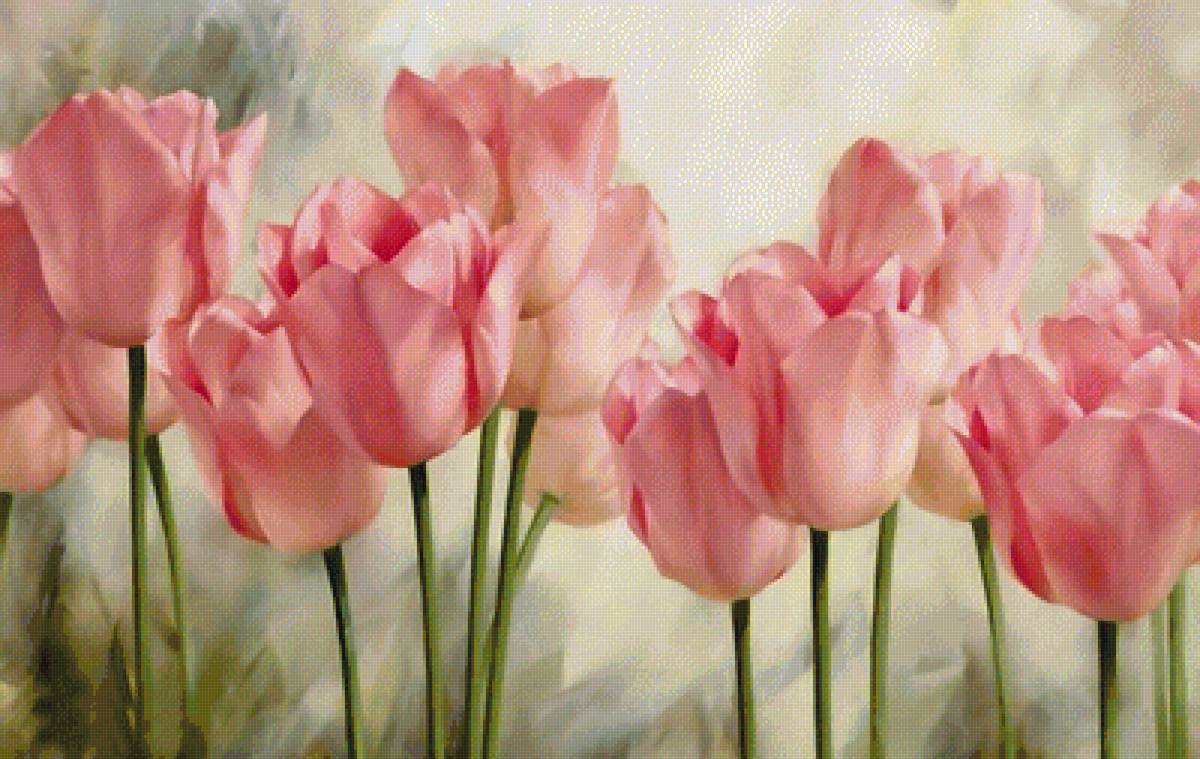 Мои тюльпаны 2 - предпросмотр