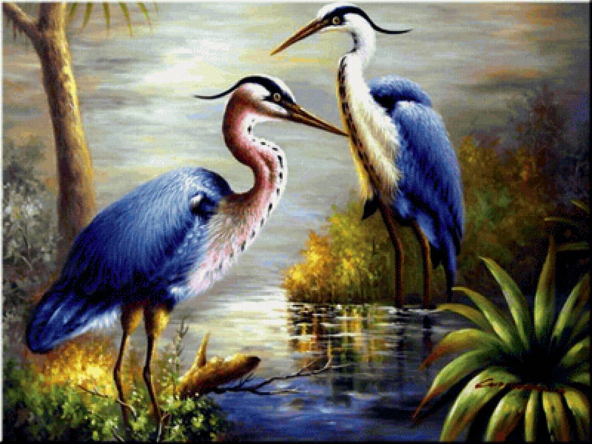 №2147176 - цапли - предпросмотр