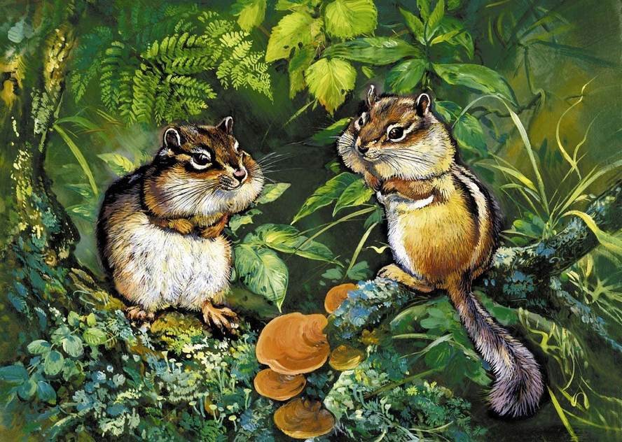 №2147177 - бурундуки - оригинал