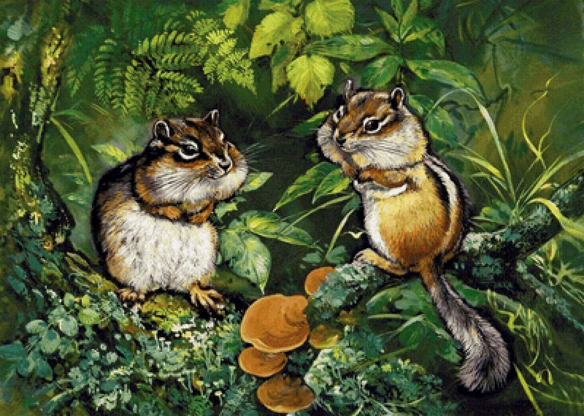 №2147177 - бурундуки - предпросмотр