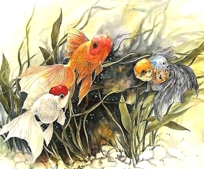 рыбки - оригинал