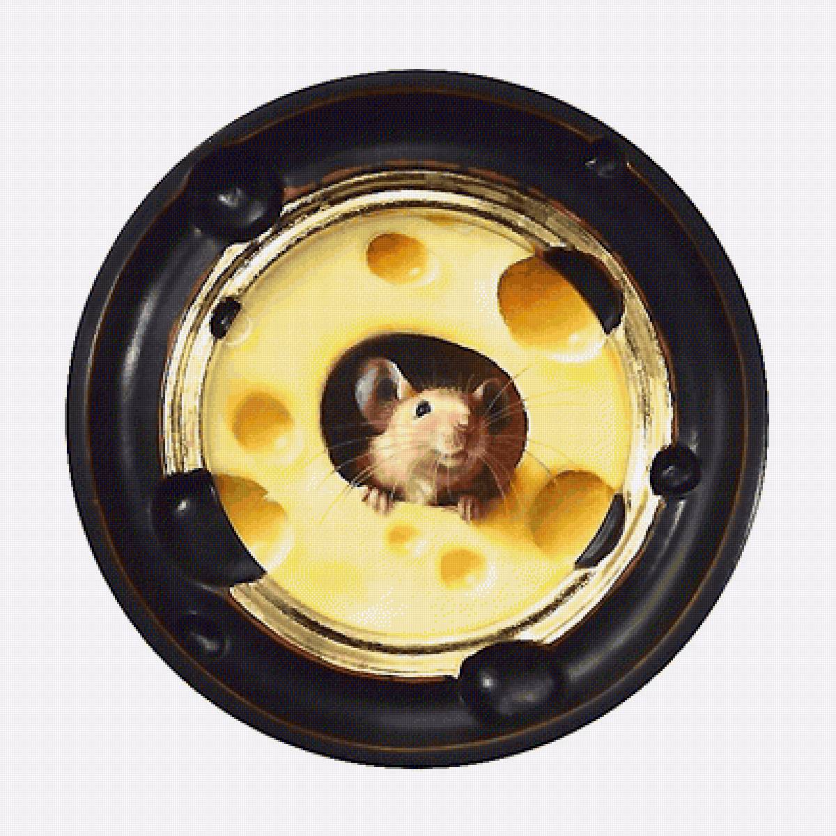 сыр - предпросмотр