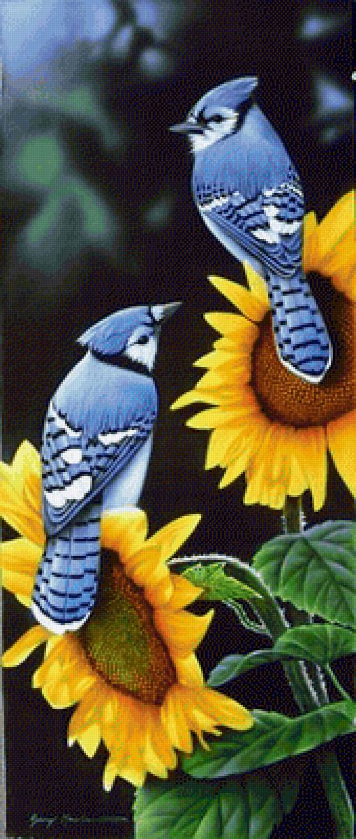 Птицы - подсолнухи, птицы - предпросмотр