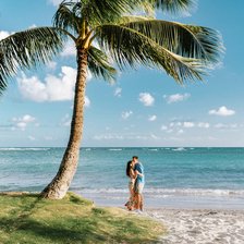 Схема вышивки «hawaiici»