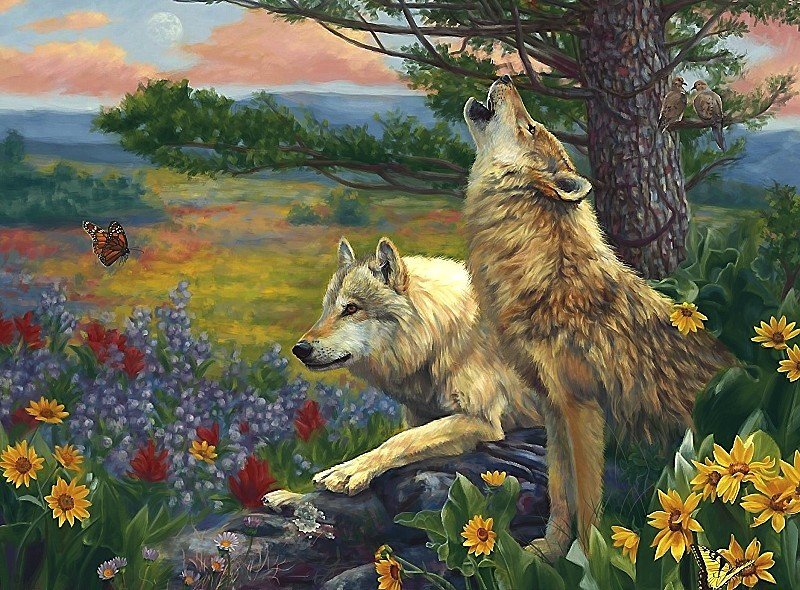 волки - вечер, бабочка, цветы, волки - оригинал