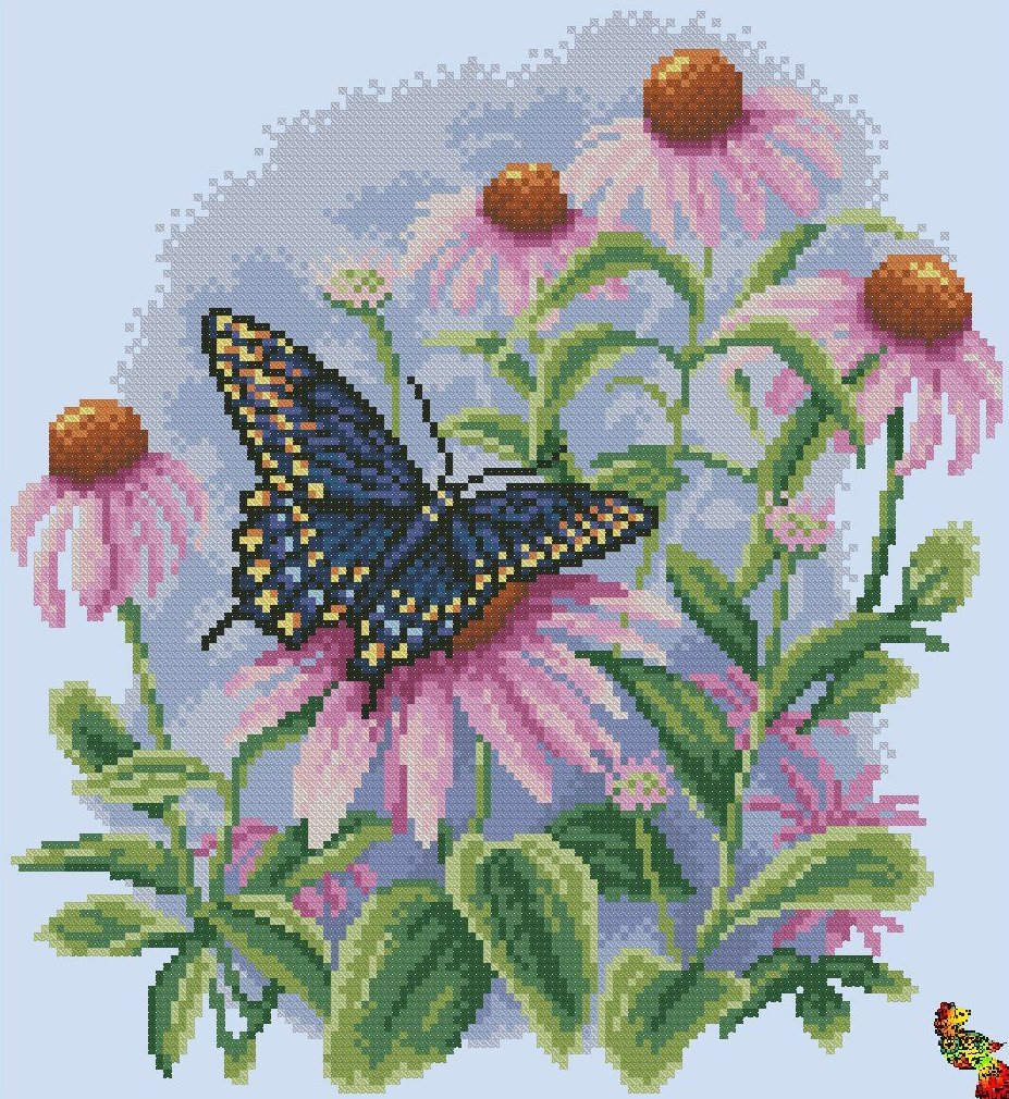 Бабочка на рудбекии - бабочка, цветы - оригинал