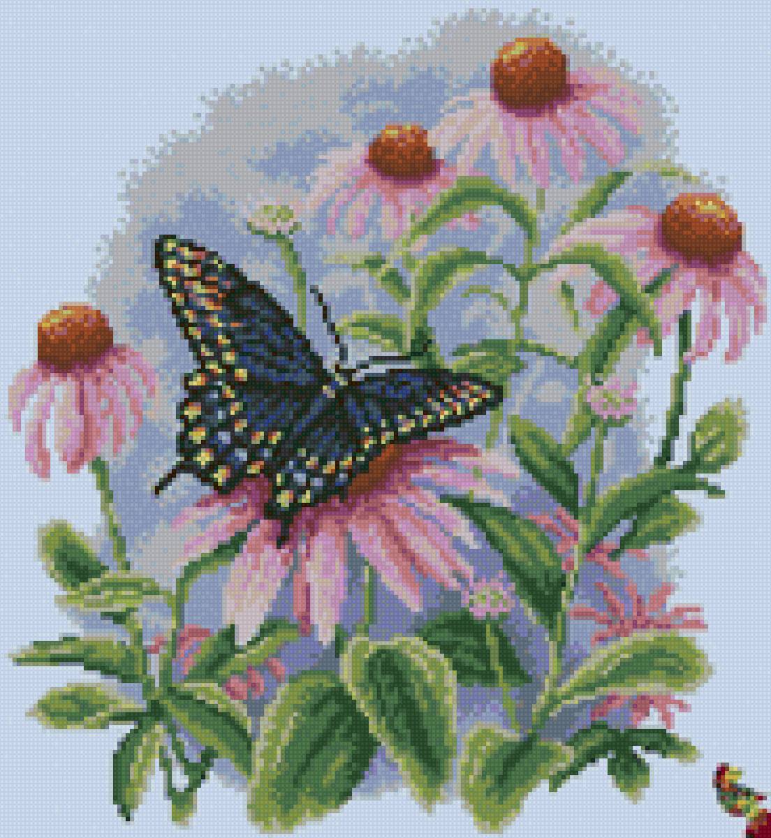 Бабочка на рудбекии - бабочка, цветы - предпросмотр