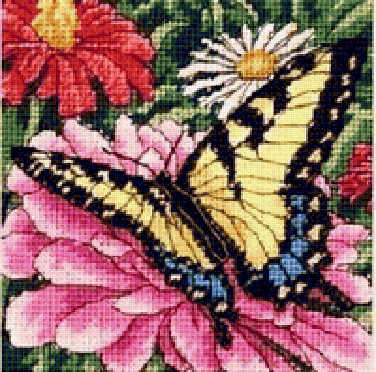 Бабочка на цветке - цветы, бабочка - предпросмотр