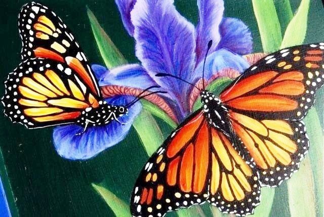 Бабочки - бабочка, цветы - оригинал