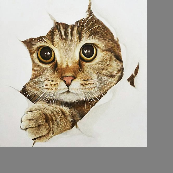 Серия "Коты". - животные, коты - оригинал