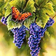 Схема вышивки «Виноград и бабочка»