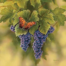 Оригинал схемы вышивки «Бабочка и виноград» (№2148166)