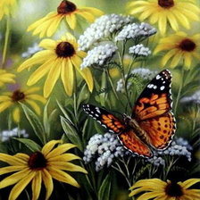 Бабочка на полевых цветах
