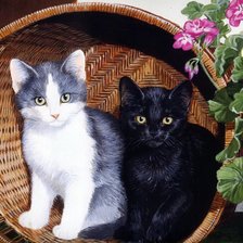 Схема вышивки «№2148216»