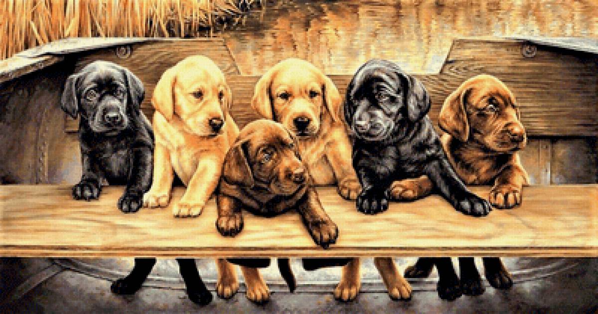 №2148243 - предпросмотр