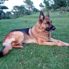 Схема вышивки «Jai»