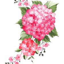 Схема вышивки «цветы»