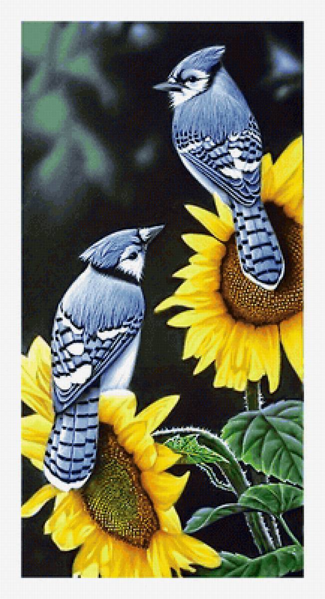 Серия "Птицы" - птицы, фауна - предпросмотр