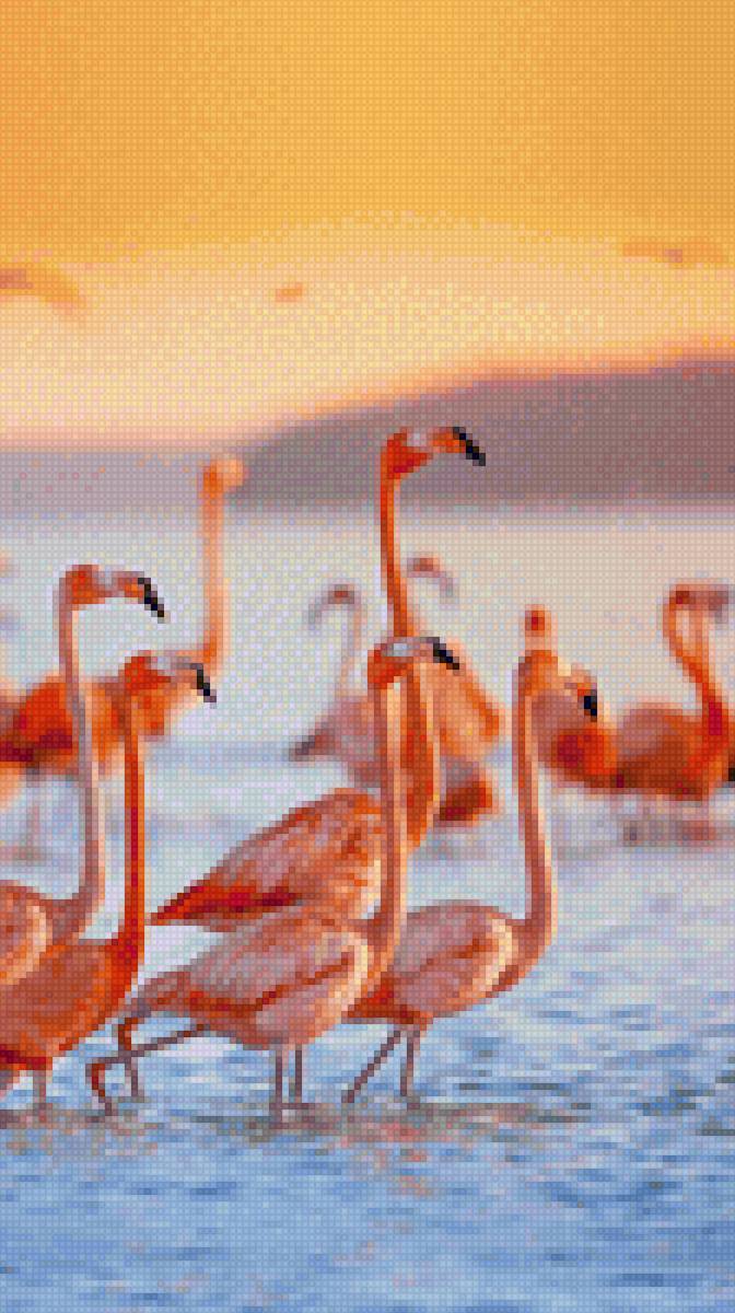 Фламинго - предпросмотр