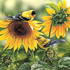 Схема вышивки «№2148513»