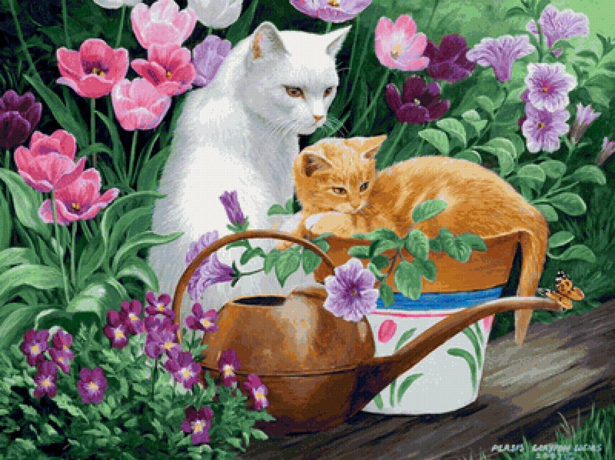 №2148646 - котенок, тюльпаны, кошка - предпросмотр