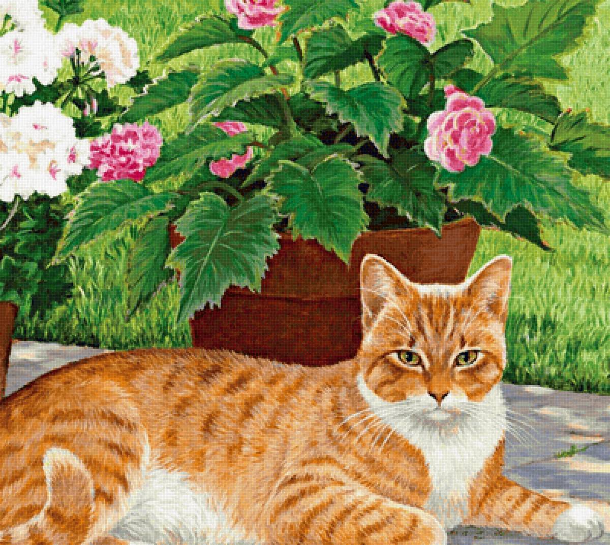 №2148648 - цветы, кот - предпросмотр