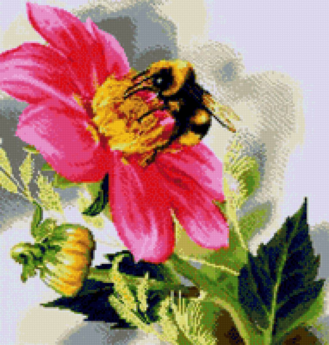 Шмель на цветке - шмель, цветок - предпросмотр