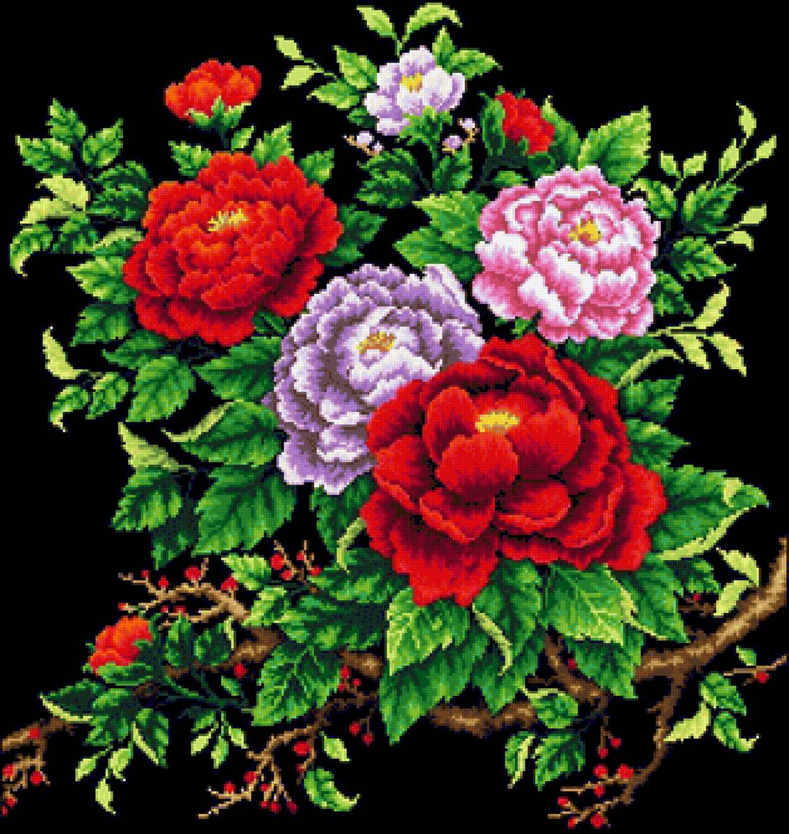 Цветы на ветке черное - букет, цветы - предпросмотр