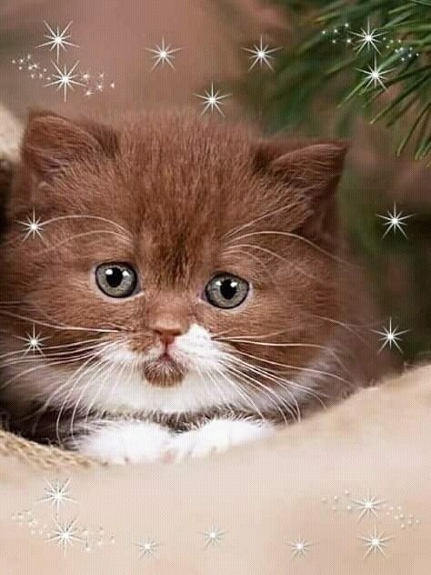 11011 - оригинал