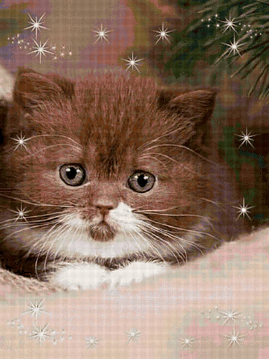 11011 - предпросмотр