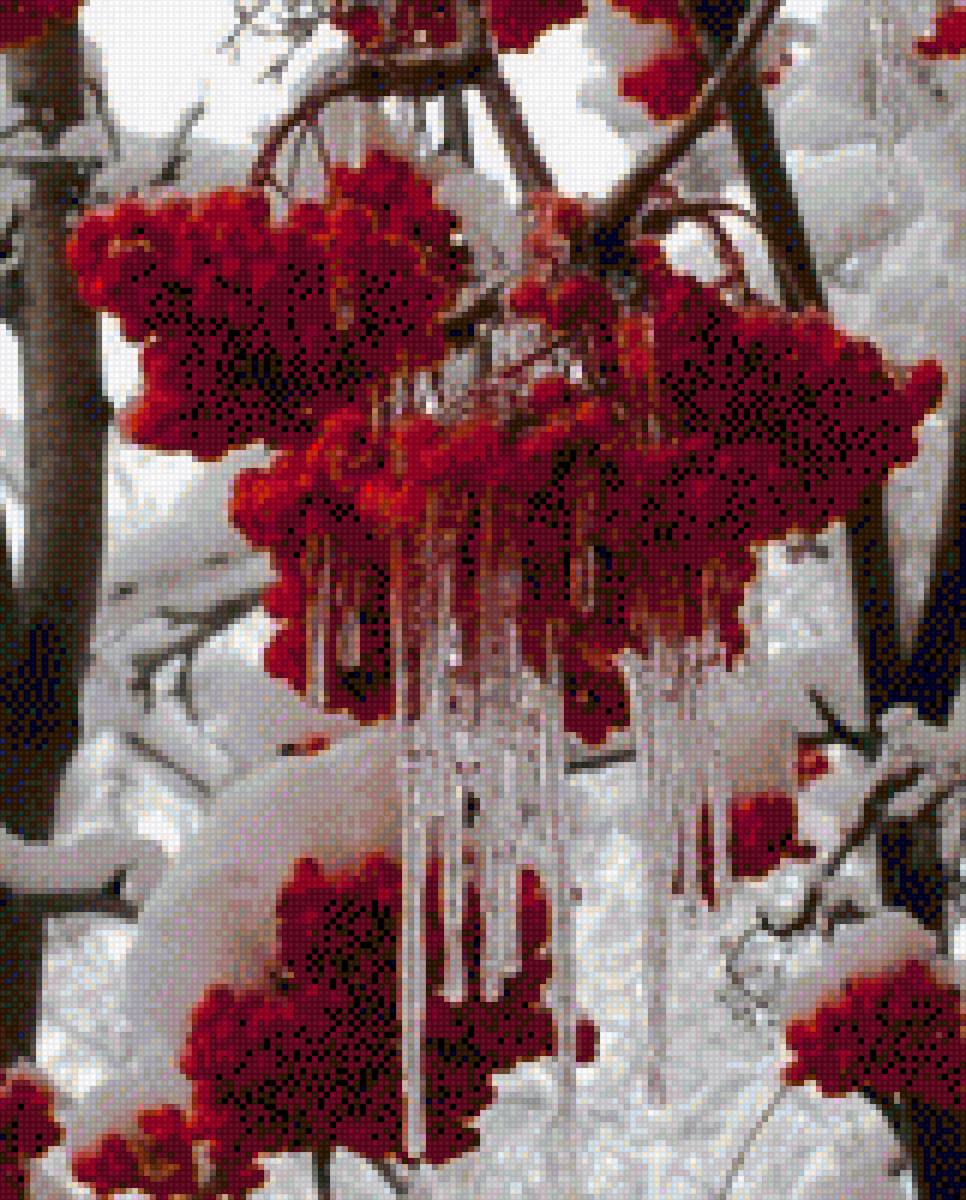 Оттепель. Рябина - зима, рябина, слезы. - предпросмотр