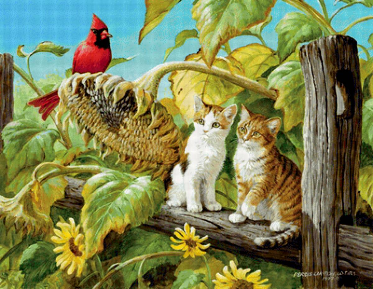 №2149702 - котята, красный кардинал, подсолнух - предпросмотр