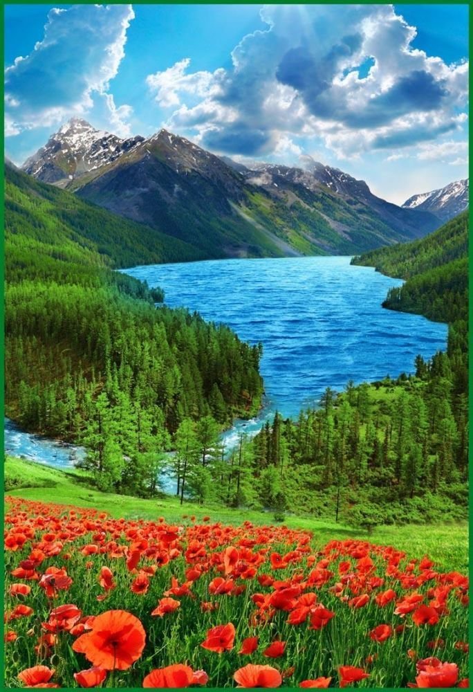 Озеро в горах - пейзаж, природа, маки - оригинал