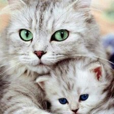 Схема вышивки «Мамина любовь»