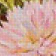Предпросмотр схемы вышивки «цветы» (№2149754)