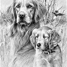 Схема вышивки «№2149824»