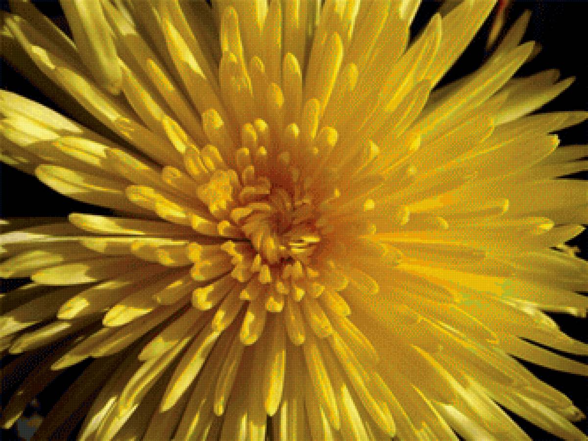 астра - серия совсем рядом - предпросмотр