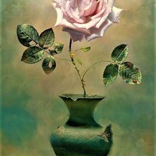 Схема вышивки «№2150018»