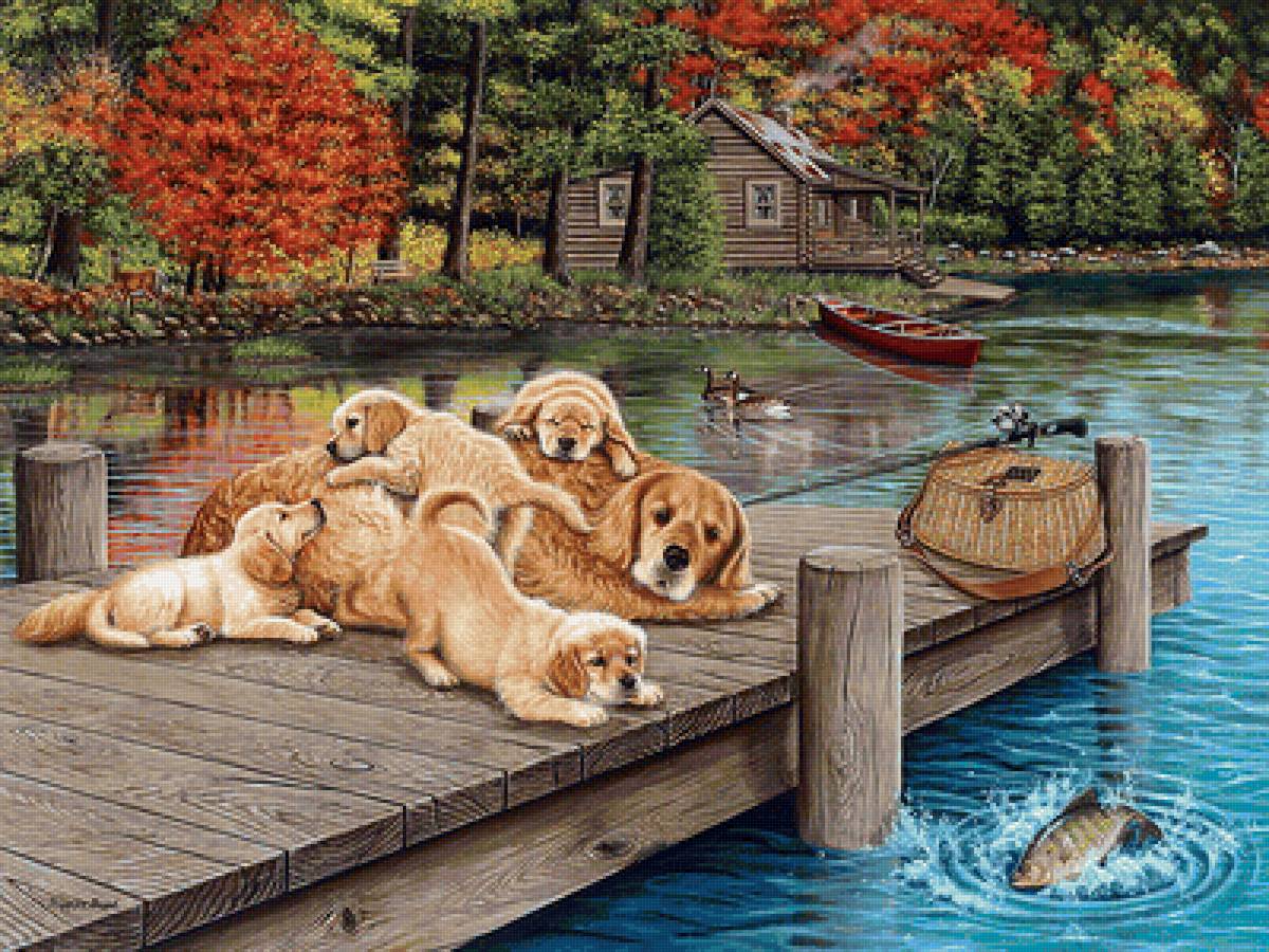 №2150087 - собака, осень, рыбалка, озеро, щенки, лодка - предпросмотр