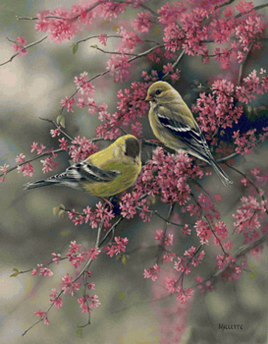 Птицы на ветке - ветка, птицы, весна - предпросмотр