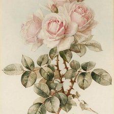 Схема вышивки «№2150547»