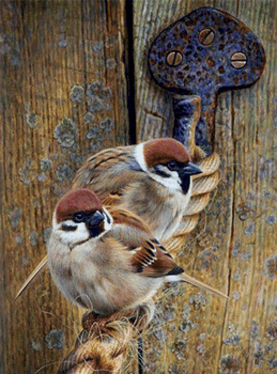 pareja de pajaros - animales - предпросмотр