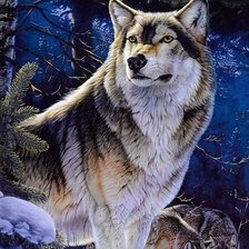 Схема вышивки «дикие»