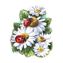 Схема вышивки «ромашки»