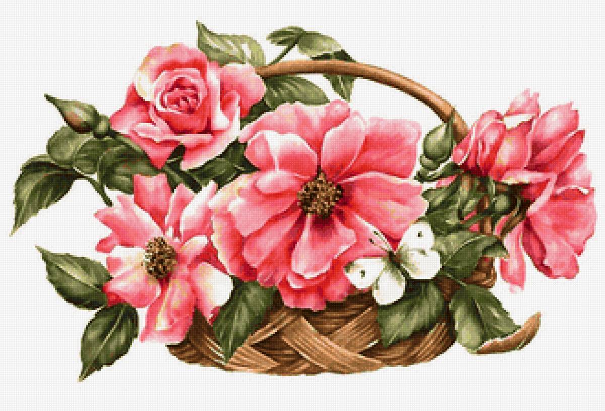 шиповник - предпросмотр