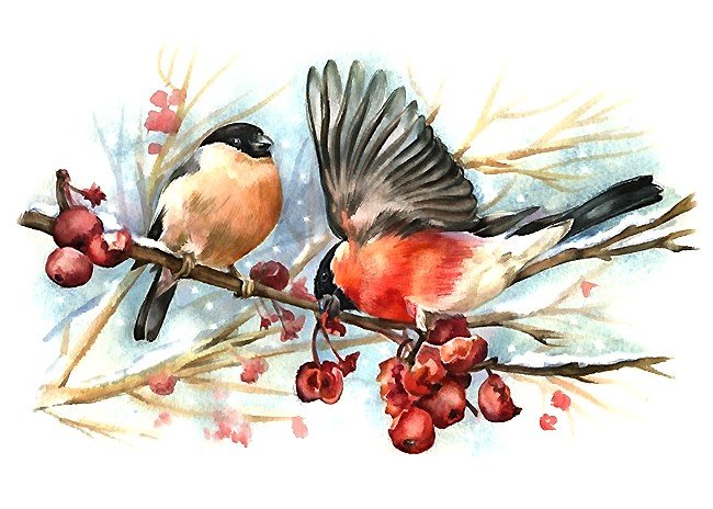 акварель - оригинал