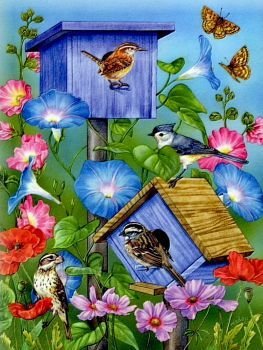 vtaci - оригинал